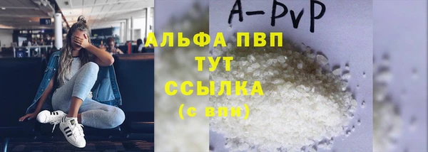 прущие грибы Чегем