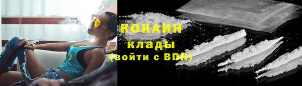 стафф Чекалин
