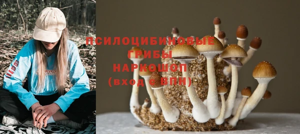 ALPHA PVP Михайлов